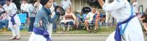 july 4 in fremont